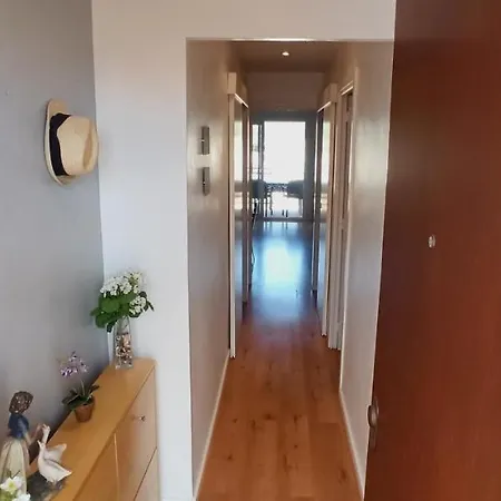 Arena Apartment